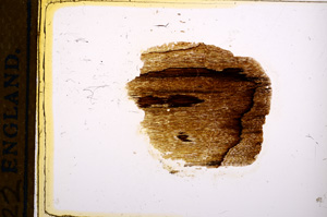 Plane Polarized, E12389