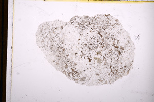 Plane Polarized, E12424