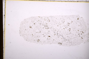 Plane Polarized, E12425