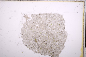 Plane Polarized, E12438