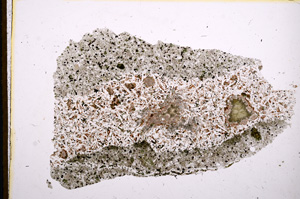 Plane Polarized, E12462