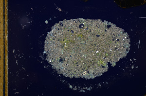 Cross Polarized, E12463