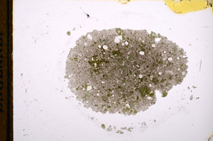 Plane Polarized, E12463