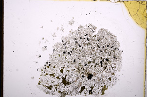 Plane Polarized, E12466