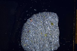 Cross Polarized, E12467