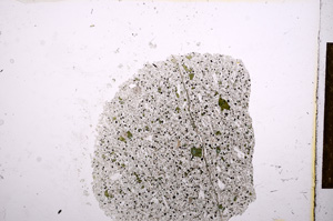 Plane Polarized, E12467