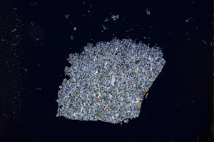 Cross Polarized, E12470