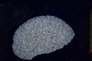 Cross Polarized, E12473