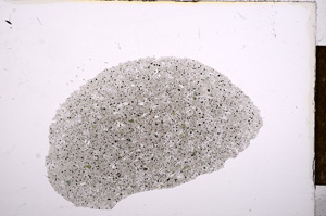 Plane Polarized, E12473