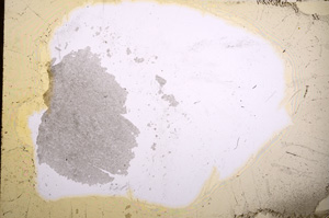 Plane Polarized, E12482