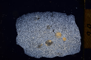 Cross Polarized, E12483