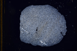 Cross Polarized, E12485