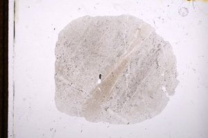 Plane Polarized, E12485