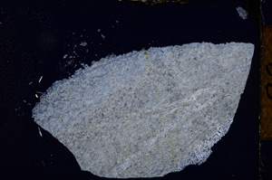 Cross Polarized, E12487