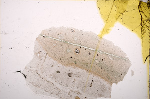 Plane Polarized, E12491