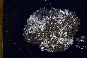 Cross Polarized, E12513