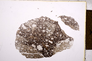 Plane Polarized, E12514