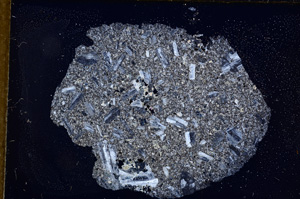 Cross Polarized, E12517