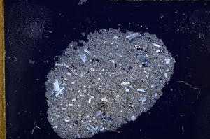 Cross Polarized, E12518