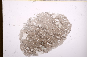 Plane Polarized, E12518