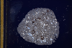 Cross Polarized, E12531