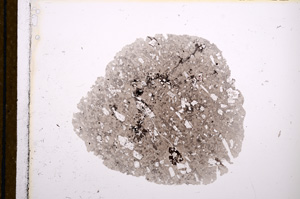 Plane Polarized, E12531