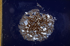 Cross Polarized, E12533