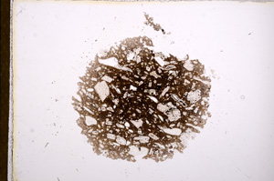 Plane Polarized, E12533