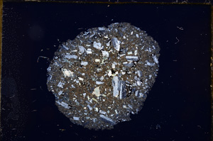 Cross Polarized, E12534