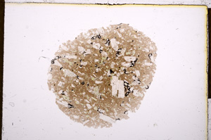 Plane Polarized, E12534