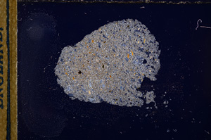 Cross Polarized, E12535