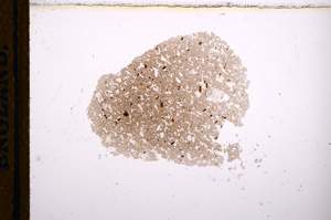 Plane Polarized, E12535