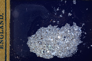 Cross Polarized, E12536