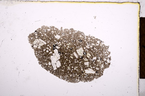 Plane Polarized, E12537