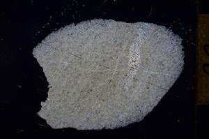 Cross Polarized, E12550