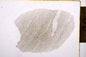 Plane Polarized, E12550