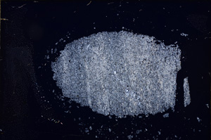 Cross Polarized, E12551