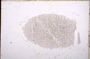 Plane Polarized, E12551