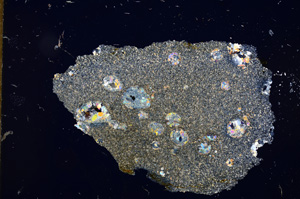 Cross Polarized, E12556