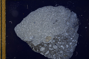 Cross Polarized, E12557