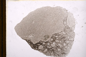 Plane Polarized, E12557