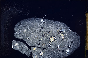 Cross Polarized, E12558