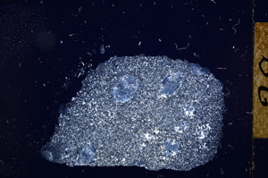 Cross Polarized, E12560