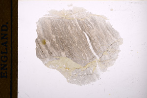 Plane Polarized, E12562