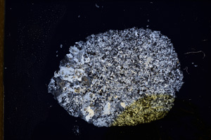 Cross Polarized, E12568