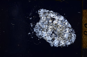 Cross Polarized, E12572