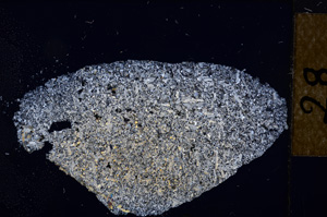 Cross Polarized, E12573