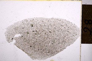 Plane Polarized, E12573