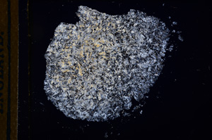 Cross Polarized, E12576