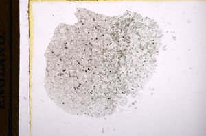 Plane Polarized, E12576